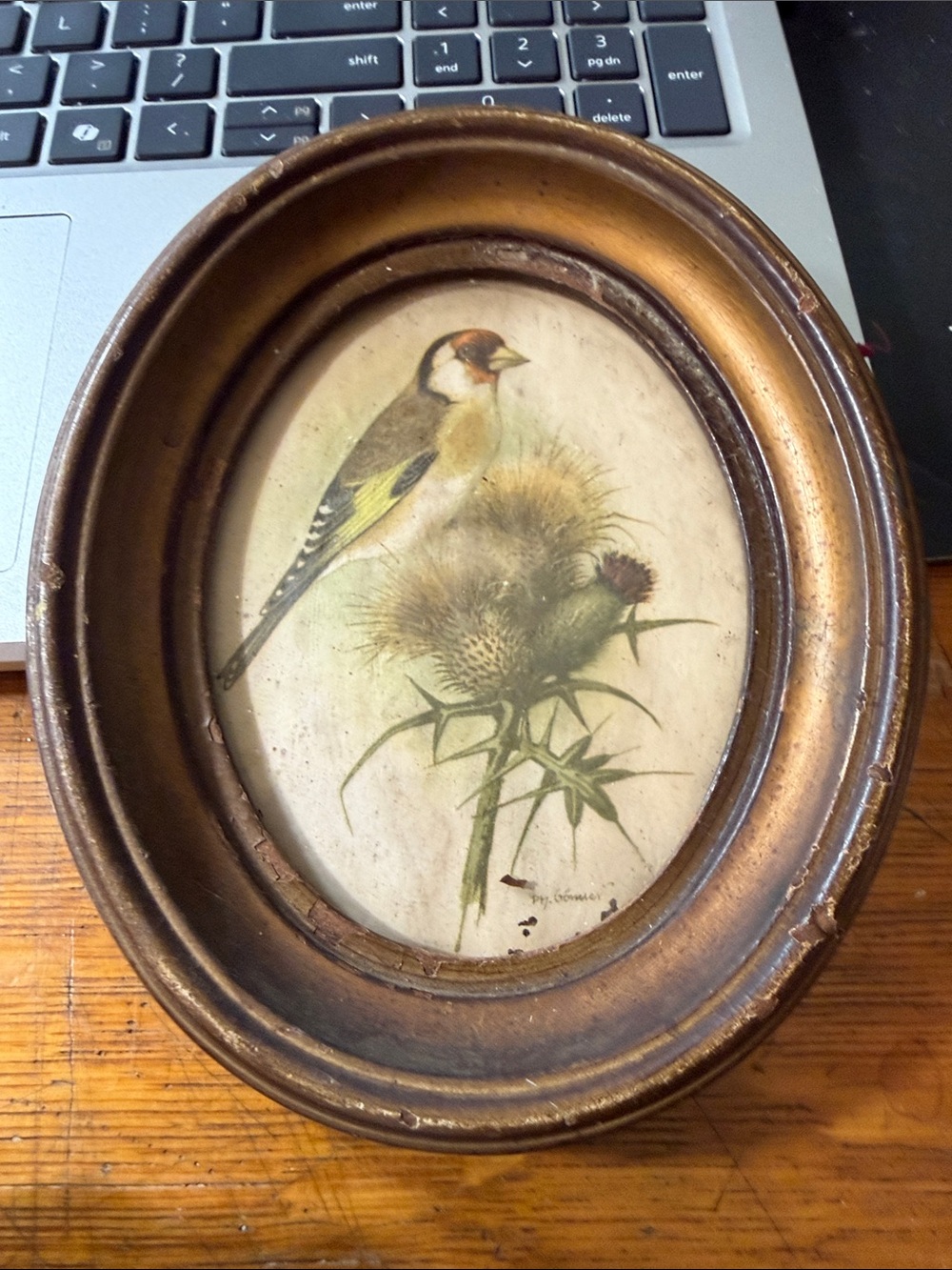 Gold Oval Songbird Art Print with Green and Yellow Accents